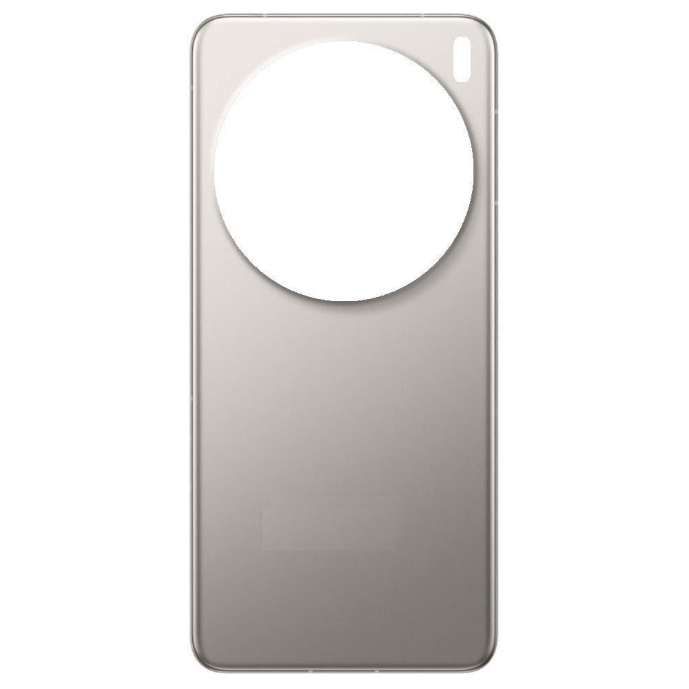 Back Panel Cover for Vivo X200 Pro