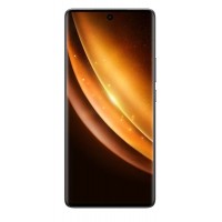 Vivo X100