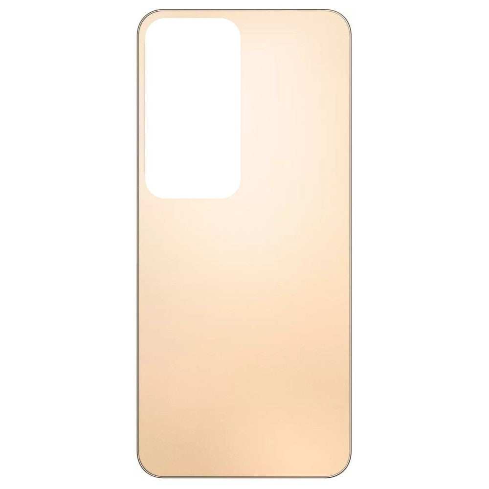 Back Panel Cover for Vivo Y29 5G