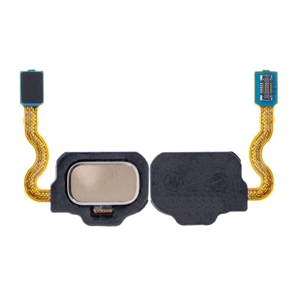 Fingerprint Sensor with Flex Cable for Samsung Galaxy S8 Plus