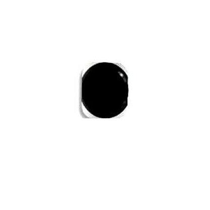 Power Button Outer for Apple iPhone 5s